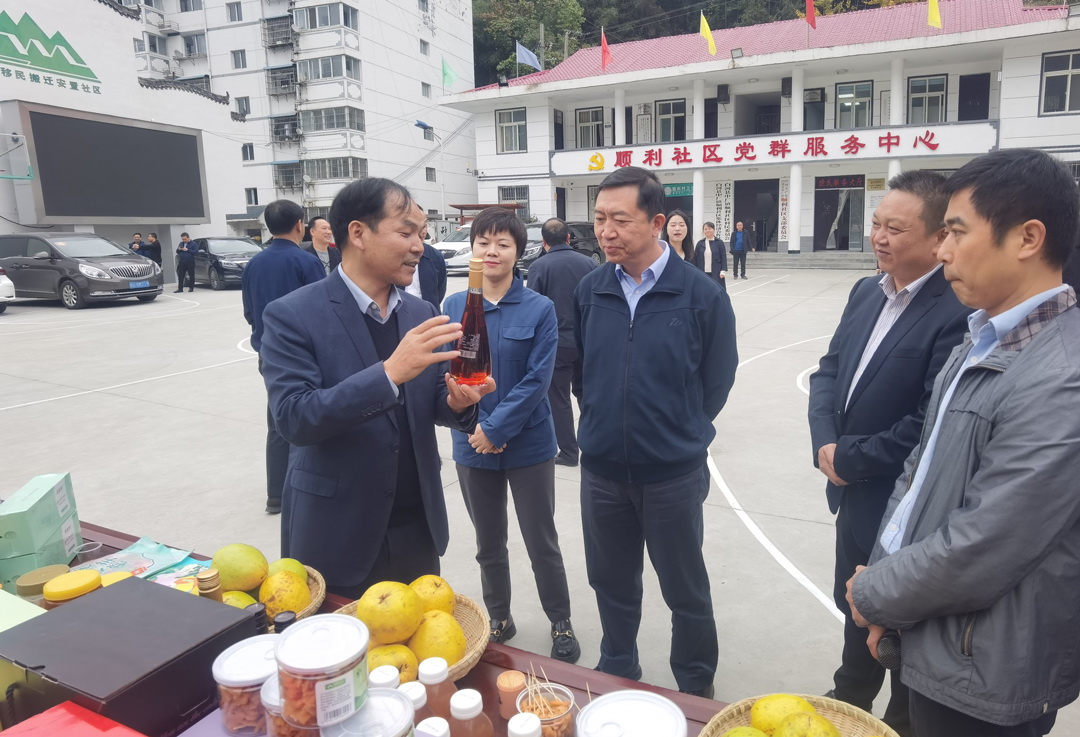 中核集團總經(jīng)理、黨組副書記顧軍赴陜西白河、旬陽調(diào)研鄉(xiāng)村振興工作