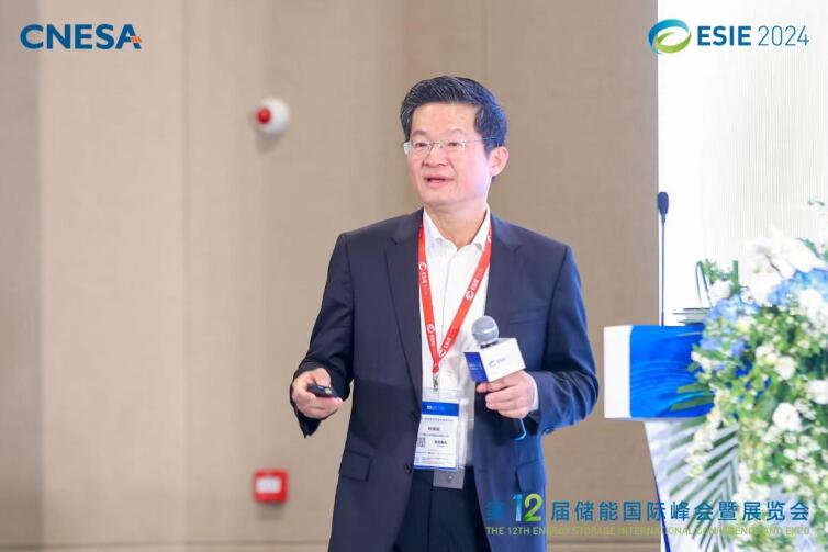 林澤波：儲能企業出海不是價格競爭，而是以定制優質產品和服務實現可持續發展